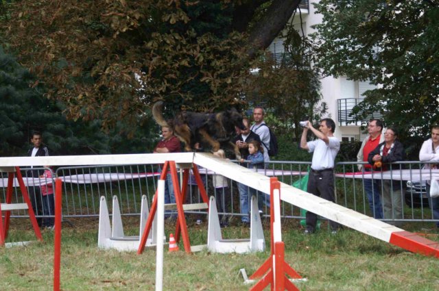 foire-haricots 2011-09-17et18